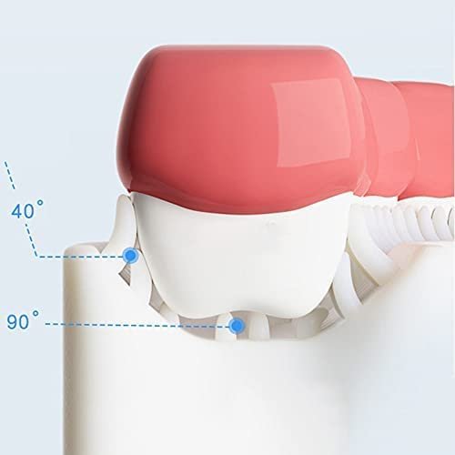 U Shaped Toothbrush for Kids (Pack of 2), Food Grade Soft Silicone Brush Head, 360° Oral Teeth Cleaning Tools, Children Infant U Shape Manual Toothbrush - Image 3